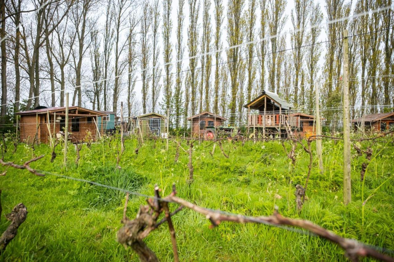 Wijndomein De Vier Ambachten -Overnachten In De Wijngaard Simonshaven Exterior foto