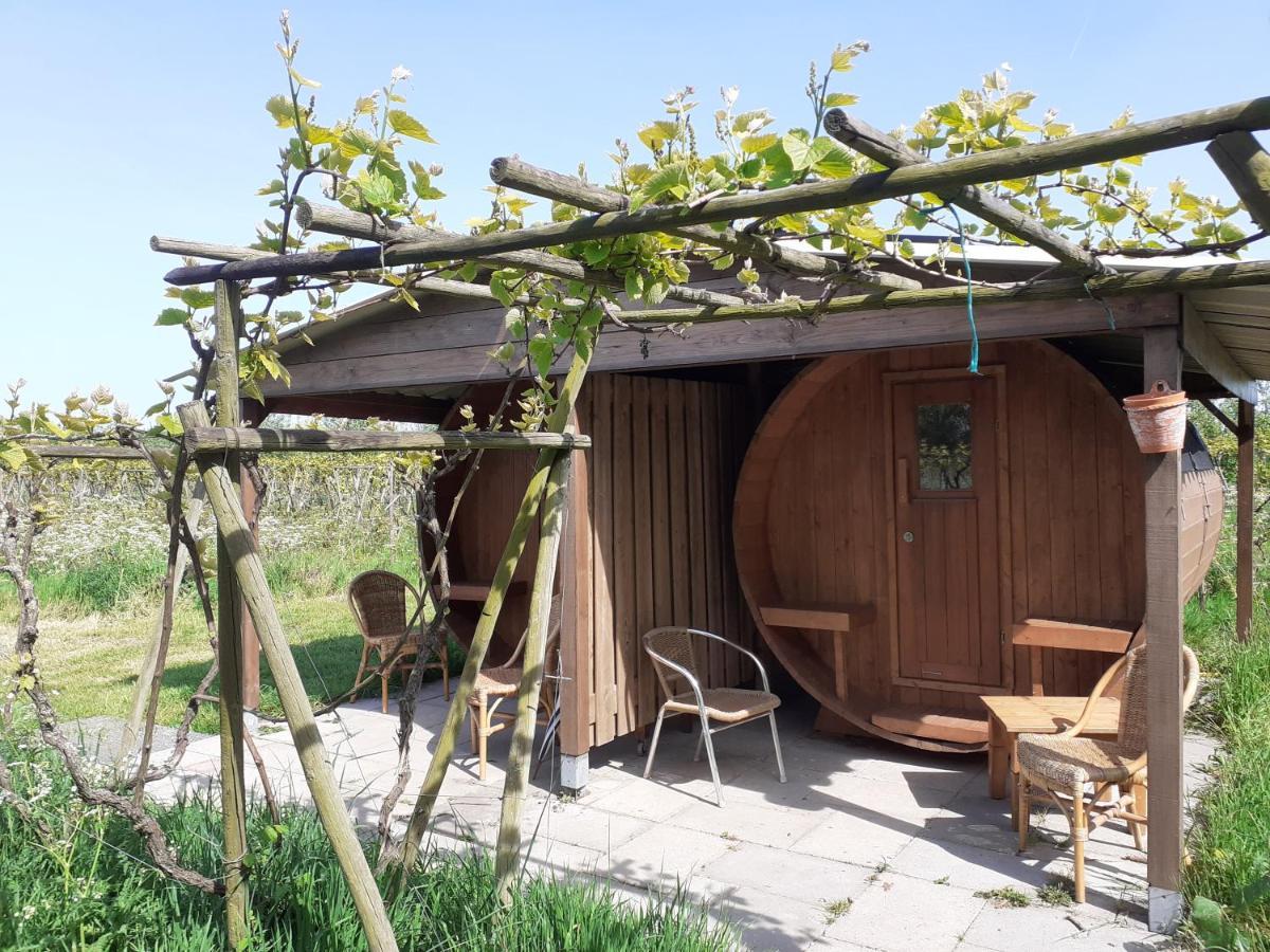 Wijndomein De Vier Ambachten -Overnachten In De Wijngaard Simonshaven Exterior foto