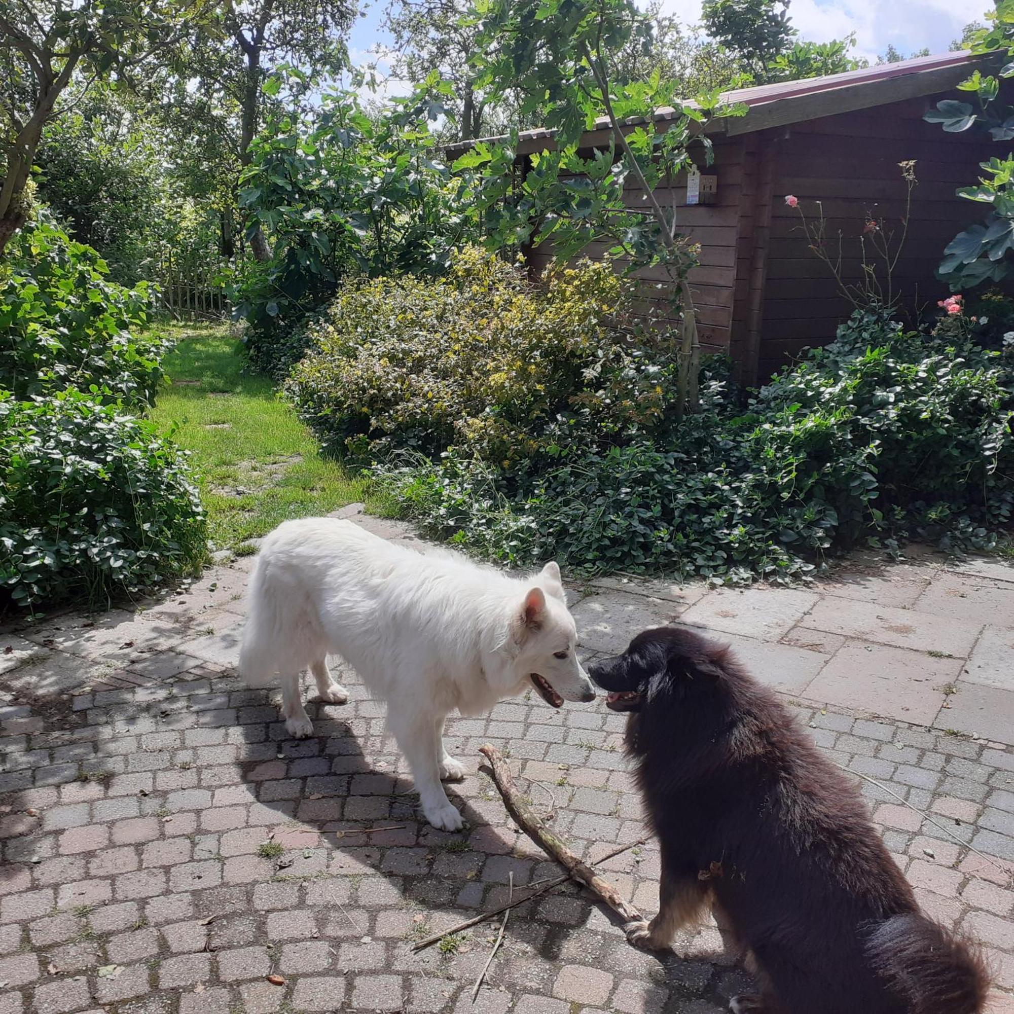 Wijndomein De Vier Ambachten -Overnachten In De Wijngaard Simonshaven Exterior foto